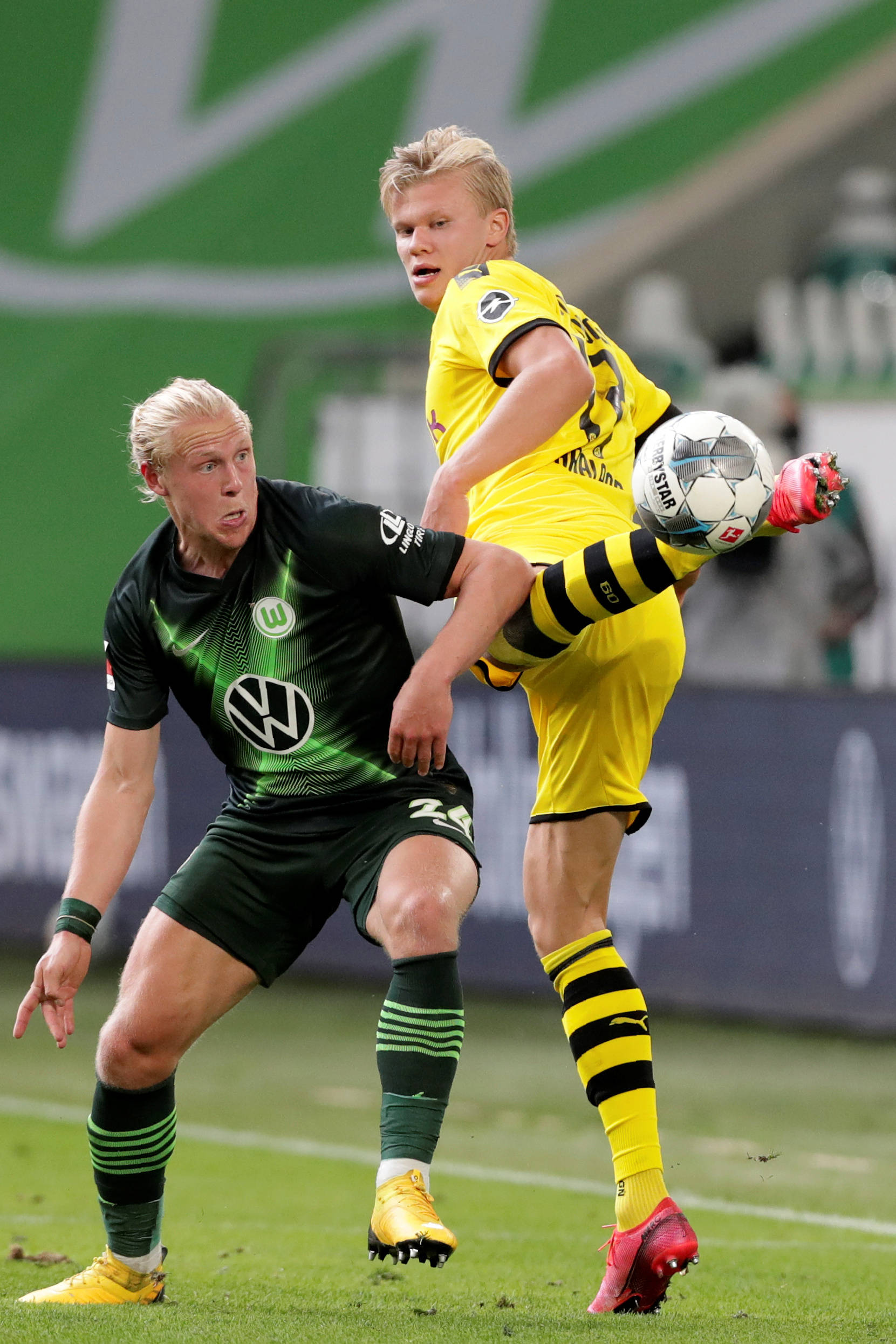 范尼为球队 范尼为球队